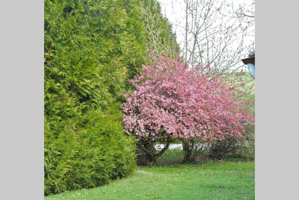 Domaine Des Montots Villa Tanlay Buitenkant foto